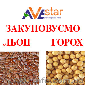 Дубайська компанія закуповує: Льон – 3000 т, Горох жовтий – 2000 т. - <ro>Изображение</ro><ru>Изображение</ru> #1, <ru>Объявление</ru> #1580911