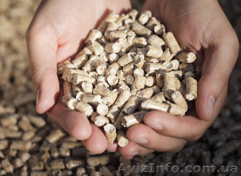 Пеллеты, экологичное биотопливо по оптовым ценам. - <ro>Изображение</ro><ru>Изображение</ru> #1, <ru>Объявление</ru> #1581851
