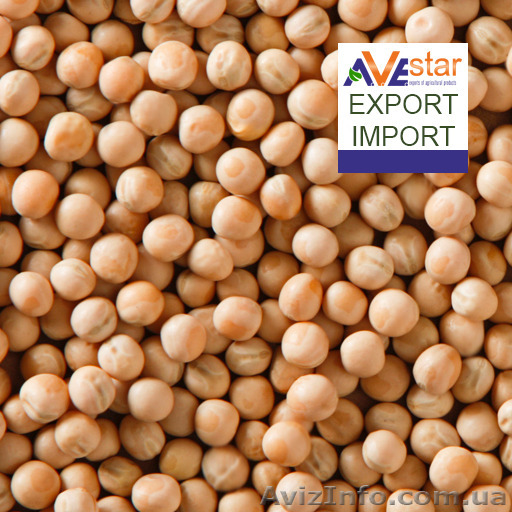 Иностранная компания покупает горох на условиях CIF - <ro>Изображение</ro><ru>Изображение</ru> #1, <ru>Объявление</ru> #1583179
