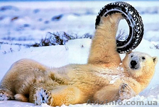 Резина/шины/диски БУ с Европы. - <ro>Изображение</ro><ru>Изображение</ru> #1, <ru>Объявление</ru> #1590012