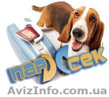 Транспортировка животных - <ro>Изображение</ro><ru>Изображение</ru> #1, <ru>Объявление</ru> #1587921