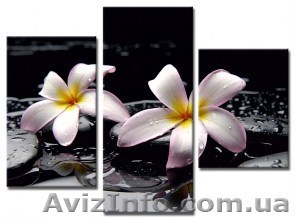 Модульные картины оптом в Украине от производителя - <ro>Изображение</ro><ru>Изображение</ru> #1, <ru>Объявление</ru> #1586928