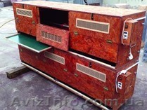 Брудера для цыплят - <ro>Изображение</ro><ru>Изображение</ru> #1, <ru>Объявление</ru> #1594627