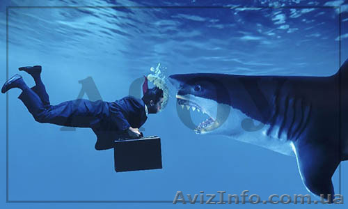 Юридическое и бухгалтерское обслуживание украинских предприятий  - <ro>Изображение</ro><ru>Изображение</ru> #1, <ru>Объявление</ru> #1602194