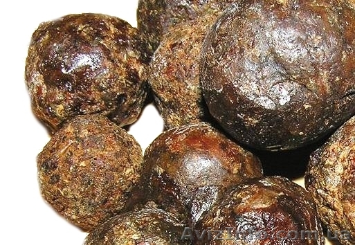 Продаем прополис пчелиный и другие продукты пчеловодства: лучшие цены - <ro>Изображение</ro><ru>Изображение</ru> #1, <ru>Объявление</ru> #1607071