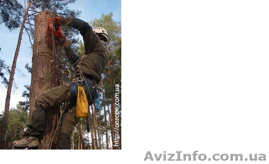 Другое - <ro>Изображение</ro><ru>Изображение</ru> #1, <ru>Объявление</ru> #1619011