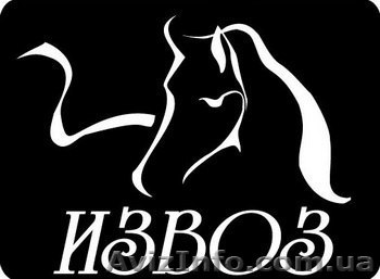 Грузоперевозки по Киеву Области и Украине, Услуги Грузчиков - <ro>Изображение</ro><ru>Изображение</ru> #1, <ru>Объявление</ru> #1624100