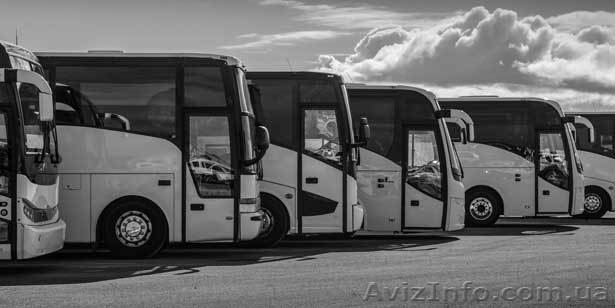 Транспортная компания с лицензией на международные пассажирские перевозк - <ro>Изображение</ro><ru>Изображение</ru> #1, <ru>Объявление</ru> #1625281