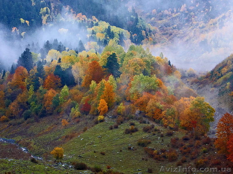 Осінні вихідні в Карпатах. Драгобрат+Верховина+Львів. - <ro>Изображение</ro><ru>Изображение</ru> #1, <ru>Объявление</ru> #1603242