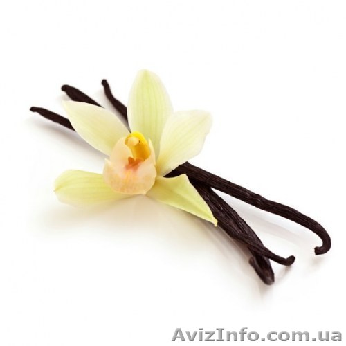 Ваниль эфирное масло ванили в Киеве в Украине - <ro>Изображение</ro><ru>Изображение</ru> #1, <ru>Объявление</ru> #1632480