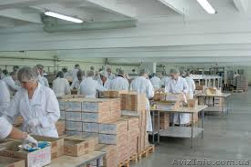 Варшава. Хорошая работа.Проживание+питание бесплатное. Ж/М Семейные.  - <ro>Изображение</ro><ru>Изображение</ru> #1, <ru>Объявление</ru> #1638375