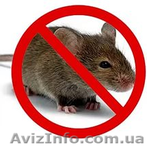 Отпугиватель грызунов. - <ro>Изображение</ro><ru>Изображение</ru> #1, <ru>Объявление</ru> #1637554