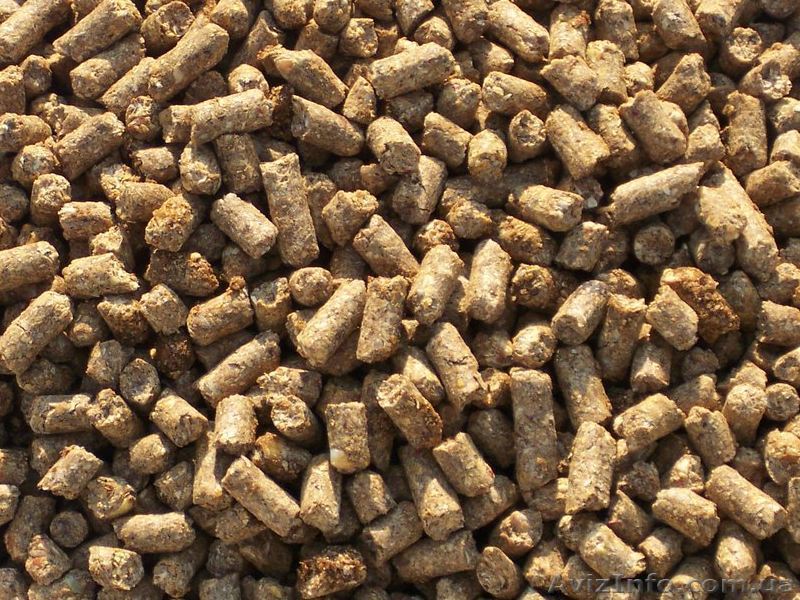 Комбікорм: висівки гранульовані вівсяно-ячмінні - <ro>Изображение</ro><ru>Изображение</ru> #1, <ru>Объявление</ru> #1642181