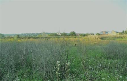 Продам участок ОСГ 12 соток в Киевской области - <ro>Изображение</ro><ru>Изображение</ru> #1, <ru>Объявление</ru> #1650658