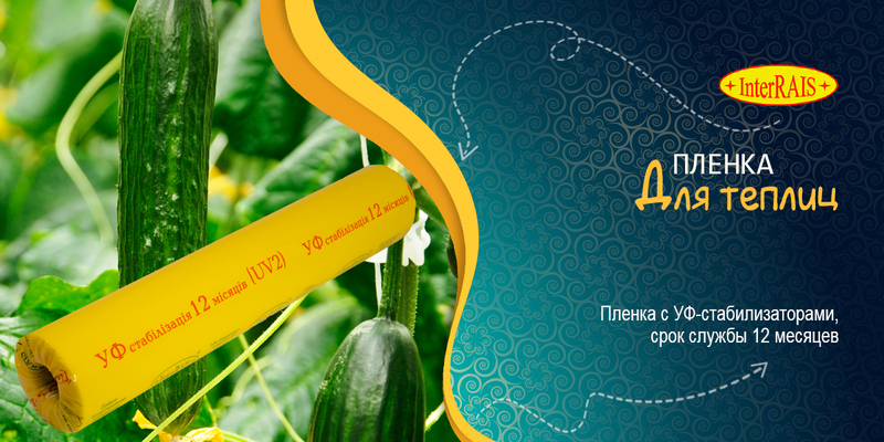 Пленка для теплиц СТ12 1500*90*100 Interrais стабилизация 12 месяцев - <ro>Изображение</ro><ru>Изображение</ru> #1, <ru>Объявление</ru> #1510837