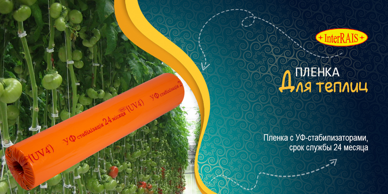 Пленка для теплиц СТ24 1500*100*100 Interrais стабилизация 24 месяцев - <ro>Изображение</ro><ru>Изображение</ru> #1, <ru>Объявление</ru> #1510842