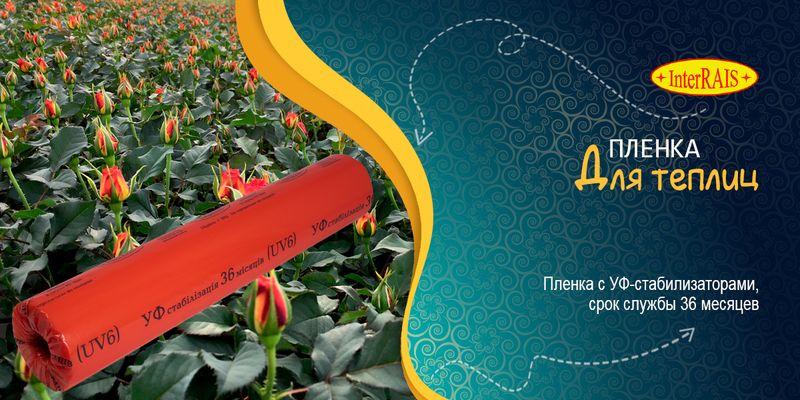 Пленка для теплиц СТ36 1500*120*100 Interrais стабилизация 36 месяцев - <ro>Изображение</ro><ru>Изображение</ru> #1, <ru>Объявление</ru> #1510844