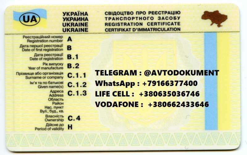 Документы на авто, техпаспорт, водительское удостоверение Украина - <ro>Изображение</ro><ru>Изображение</ru> #1, <ru>Объявление</ru> #1656017