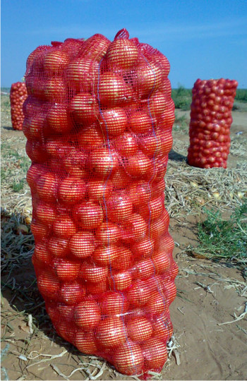 Сетка под лук, опт - <ro>Изображение</ro><ru>Изображение</ru> #1, <ru>Объявление</ru> #1660746