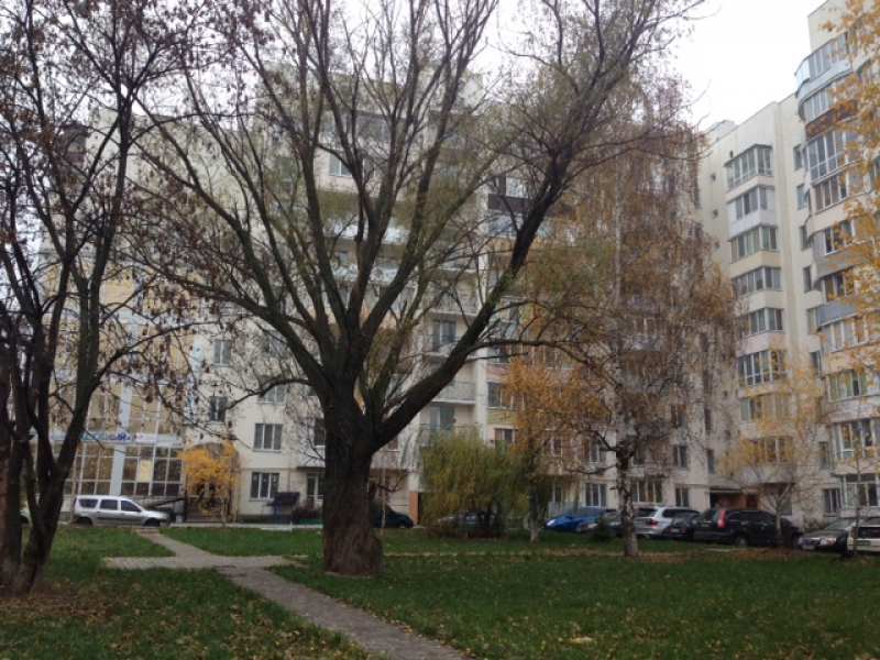 Срочно продам уютную квартиру с видом на взлетную полосу - <ro>Изображение</ro><ru>Изображение</ru> #1, <ru>Объявление</ru> #1670721