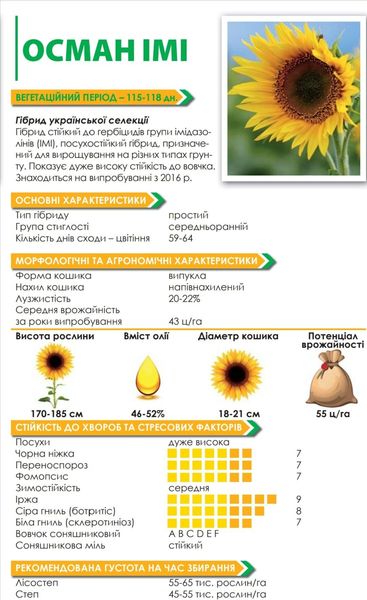 Насіння соняшнику ОСМАН  - <ro>Изображение</ro><ru>Изображение</ru> #1, <ru>Объявление</ru> #1675603