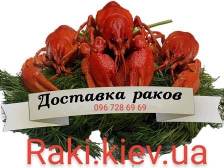 Закупаем Раки живые оптом - <ro>Изображение</ro><ru>Изображение</ru> #1, <ru>Объявление</ru> #1685226