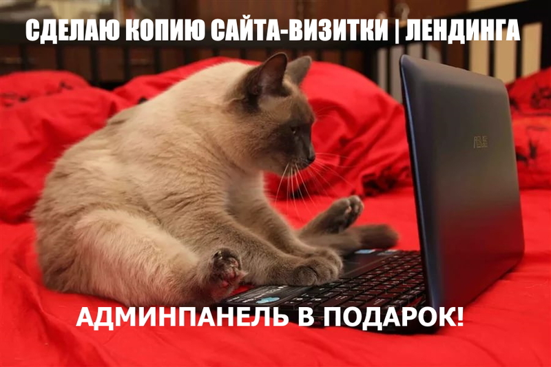 Сделаю точную копию сайта  - <ro>Изображение</ro><ru>Изображение</ru> #1, <ru>Объявление</ru> #1684339