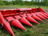 Продажа кукурузной жатки Capello 2019 г.в. - <ro>Изображение</ro><ru>Изображение</ru> #1, <ru>Объявление</ru> #1688712