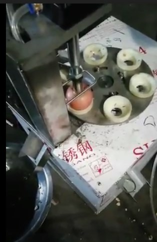 Машина Вега  для удаления сердцевины яблока - <ro>Изображение</ro><ru>Изображение</ru> #1, <ru>Объявление</ru> #1689792