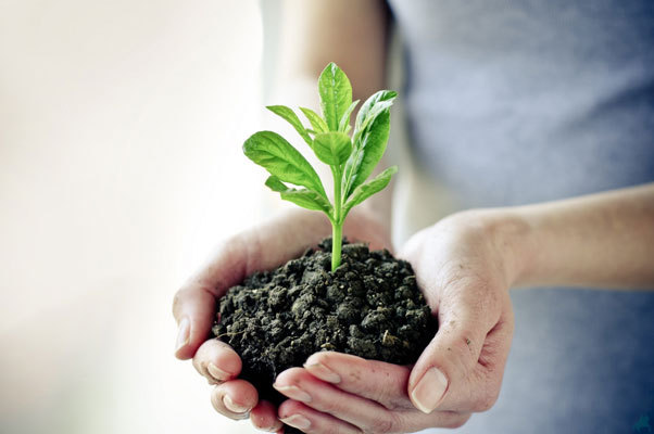 Куплю средства защиты растений, гербициды, фунгициды - <ro>Изображение</ro><ru>Изображение</ru> #1, <ru>Объявление</ru> #1689785