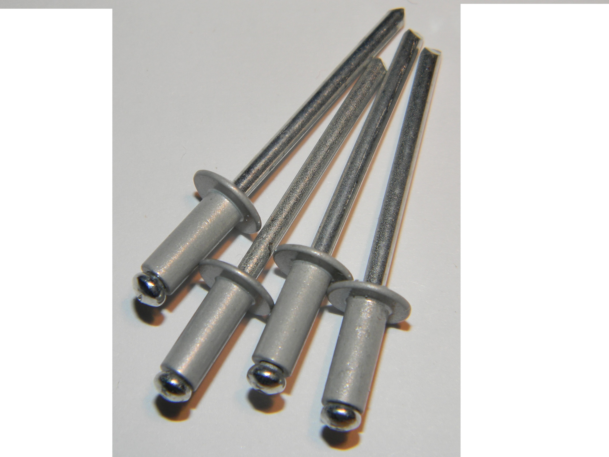 Бело-алюминиевые RAL 9006 вытяжные заклепки размер 4*8, 4*10 - <ro>Изображение</ro><ru>Изображение</ru> #1, <ru>Объявление</ru> #1693883