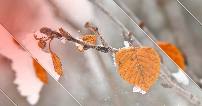 Срочная аренда, сдам на любой - <ro>Изображение</ro><ru>Изображение</ru> #1, <ru>Объявление</ru> #1696229