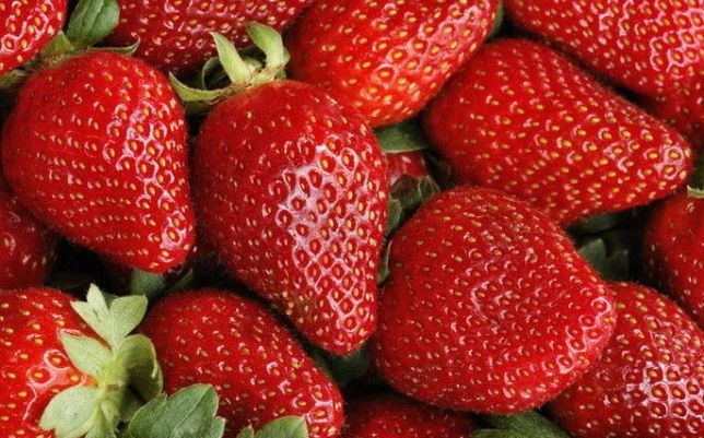 Саженцы клубники Альба - <ro>Изображение</ro><ru>Изображение</ru> #1, <ru>Объявление</ru> #1698578