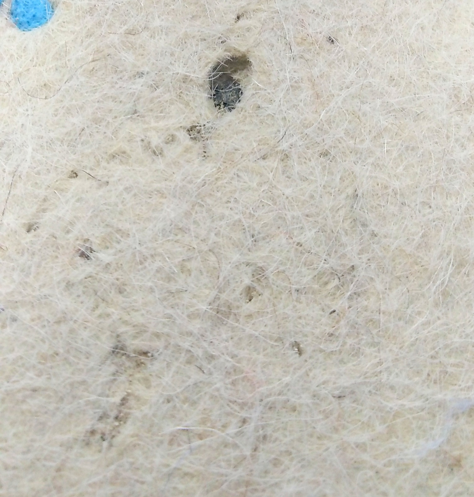 Валенки ремонт реставрация мастерская  - <ro>Изображение</ro><ru>Изображение</ru> #1, <ru>Объявление</ru> #1703329