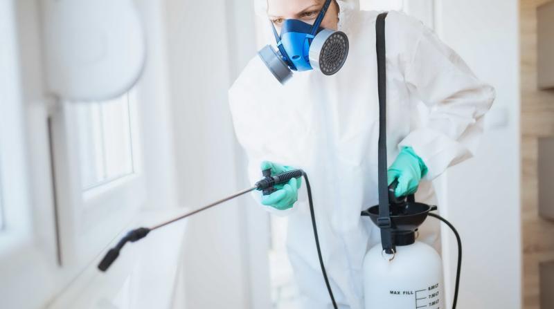 Дезинфекция помещений, уничтожение насекомых в Киеве и Киевской обл. - <ro>Изображение</ro><ru>Изображение</ru> #1, <ru>Объявление</ru> #1709116