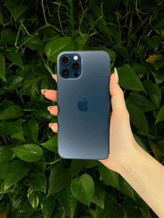 iPhone 12 Pro Max 512GB Pacific Blue - оригінальний айфон в ICOOLA - <ro>Изображение</ro><ru>Изображение</ru> #1, <ru>Объявление</ru> #1734576