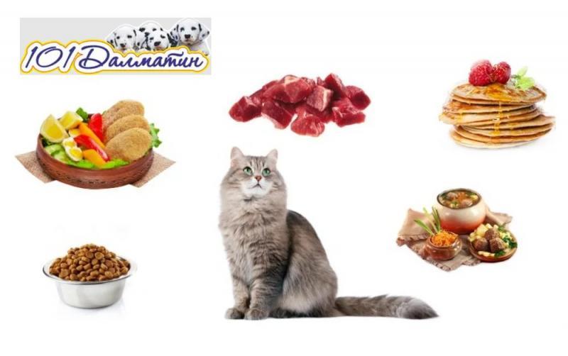 Інтернет-зоомагазин - переваги зручних та вигідних покупок для вашого улюбленця - <ro>Изображение</ro><ru>Изображение</ru> #1, <ru>Объявление</ru> #1738309