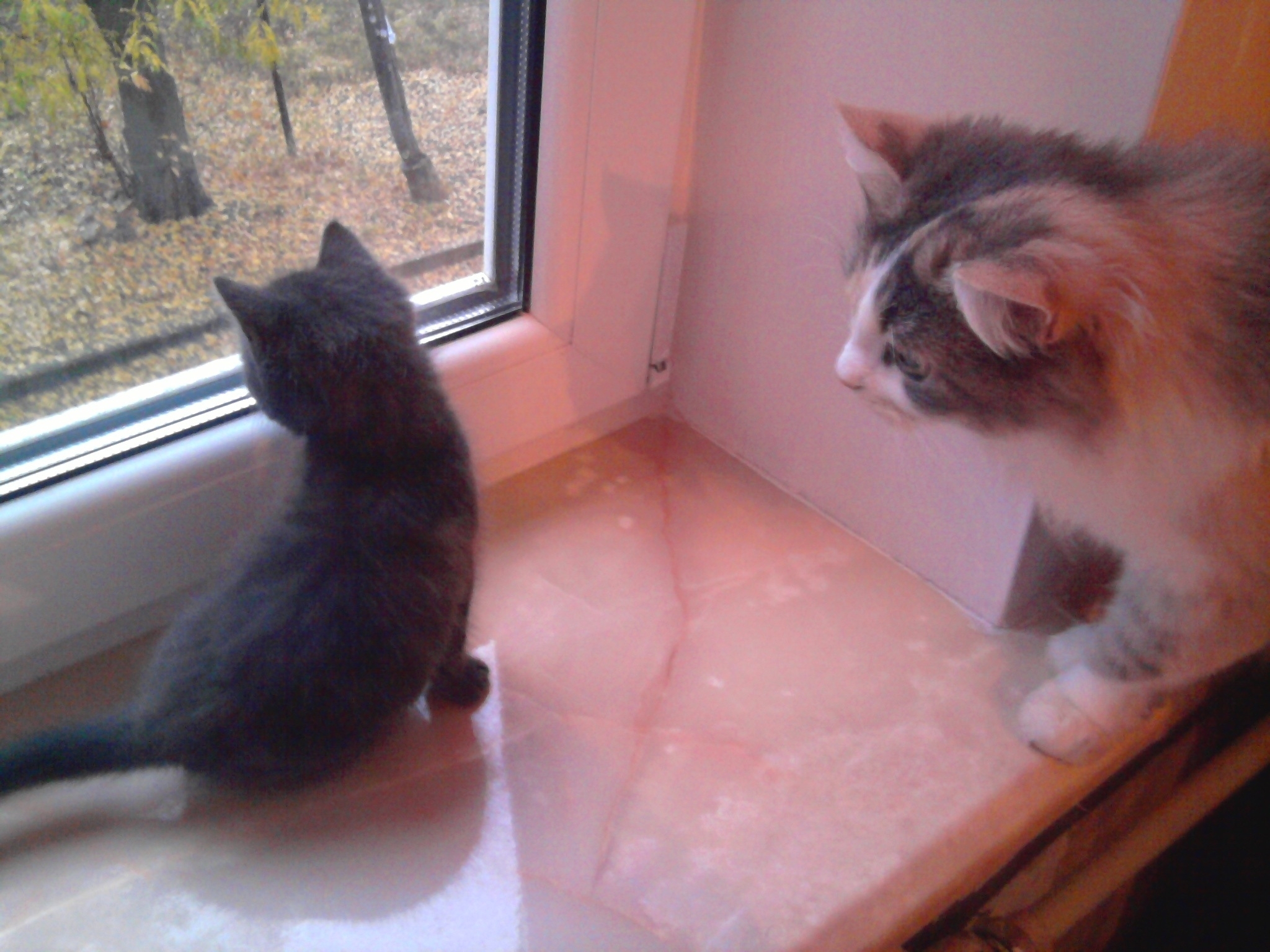 Ремонт окон Киев, регулировка дверей, Петли с94, ремонт ролет в Киеве - <ro>Изображение</ro><ru>Изображение</ru> #1, <ru>Объявление</ru> #1738393