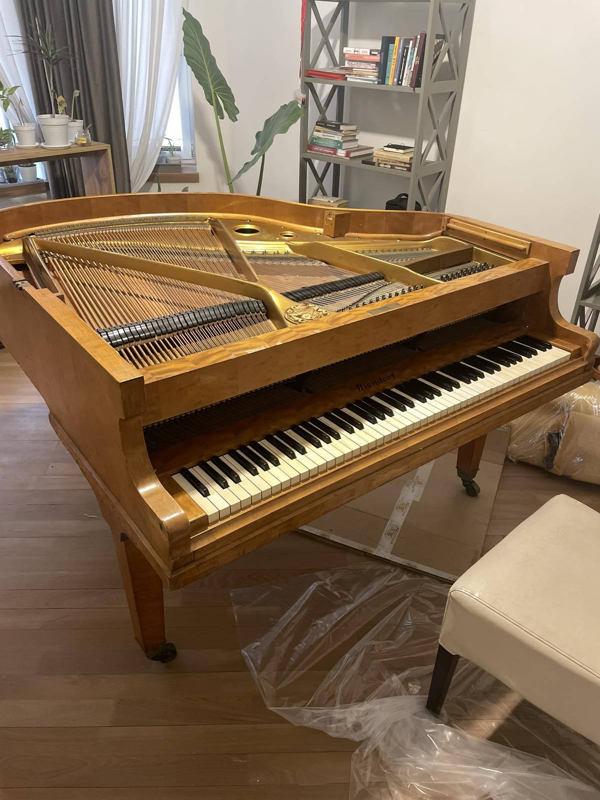 Послуги вантажників Київ - перевезення піаніно, сейфа - підйом на поверх ванни. - <ro>Изображение</ro><ru>Изображение</ru> #1, <ru>Объявление</ru> #1743345