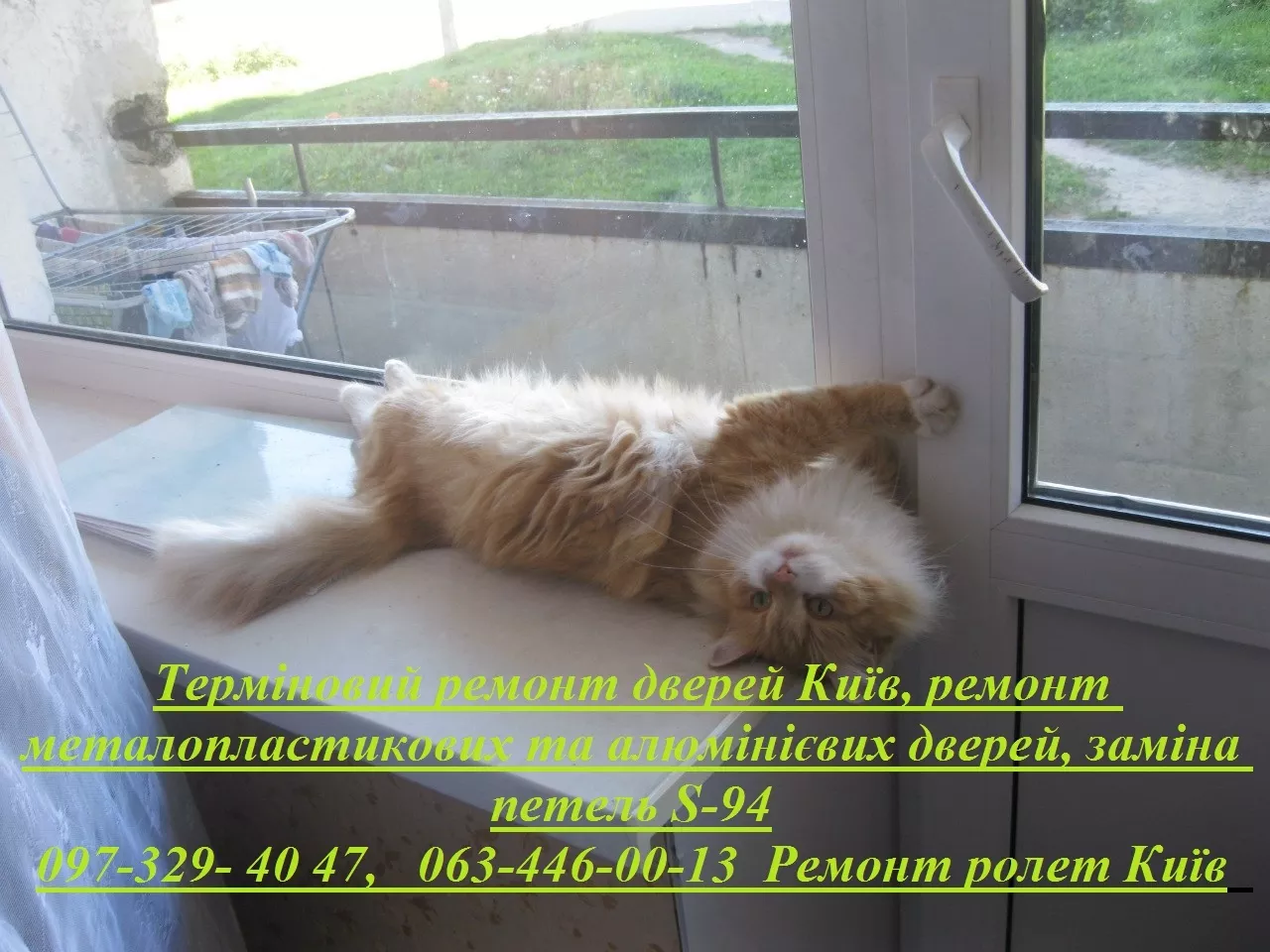 Ремонт ролетів Київ, Позняки, Харківський, Троєщина, Березняки, Нивки, Святошин - <ro>Изображение</ro><ru>Изображение</ru> #1, <ru>Объявление</ru> #1747810