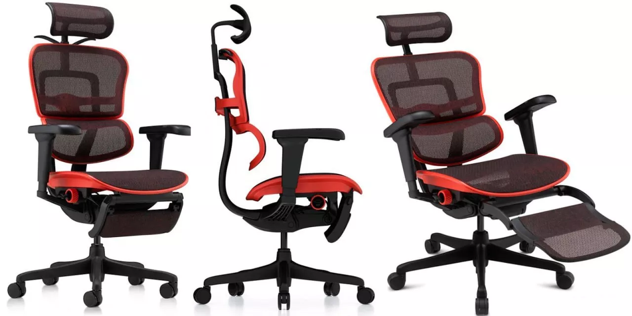 Кресло Ergohuman Ultra X9 Gaming Legrest Equator - <ro>Изображение</ro><ru>Изображение</ru> #1, <ru>Объявление</ru> #1751340