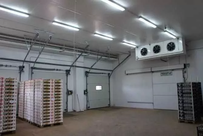 Холодильна камера Тривалого зберігання яєць (встановлення під ключ) - <ro>Изображение</ro><ru>Изображение</ru> #1, <ru>Объявление</ru> #1751962