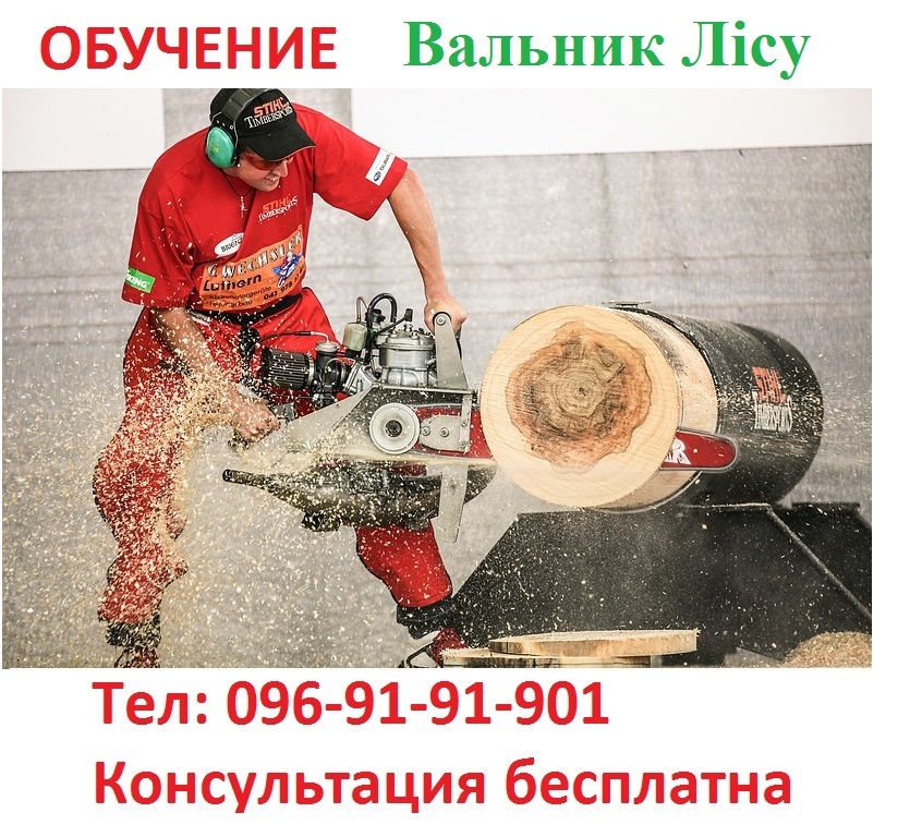 Удостоверение вальщика леса. - <ro>Изображение</ro><ru>Изображение</ru> #1, <ru>Объявление</ru> #1586116