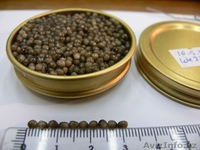 икра осетровой рыбы - <ro>Изображение</ro><ru>Изображение</ru> #6, <ru>Объявление</ru> #128468