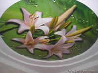 Качественный ремонт: натяжные потолки , отделочные работы. - <ro>Изображение</ro><ru>Изображение</ru> #3, <ru>Объявление</ru> #6818