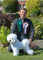 Питомник Бишон-Фризе "Frizzled life" - <ro>Изображение</ro><ru>Изображение</ru> #2, <ru>Объявление</ru> #33132