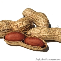 Оптом Кешью, арахис, мякоть манго  - <ro>Изображение</ro><ru>Изображение</ru> #2, <ru>Объявление</ru> #40089