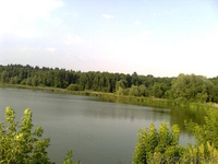 Продається хата у мальовничому місці - <ro>Изображение</ro><ru>Изображение</ru> #2, <ru>Объявление</ru> #37404