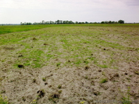 участки под Киевом - <ro>Изображение</ro><ru>Изображение</ru> #2, <ru>Объявление</ru> #60054