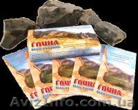 Кембрийская голубая глина - <ro>Изображение</ro><ru>Изображение</ru> #4, <ru>Объявление</ru> #57270